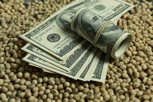 Dollars banknotes and coins and soy beans,oleaginous commoditi value concept. photo