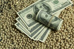 Dollars banknotes and coins and soy beans,oleaginous commoditi value concept. photo