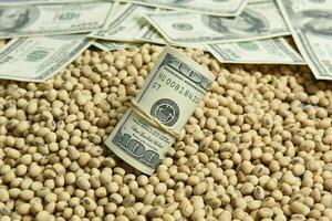 Dollars banknotes and coins and soy beans,oleaginous commoditi value concept. photo