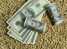 Dollars banknotes and coins and soy beans,oleaginous commoditi value concept. photo