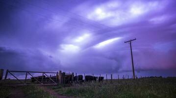 Threatening storm clouds, Pampas, Patagonia, Argentina photo