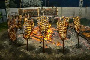 Barbecue cow ribs, traditional Argentine roast photo