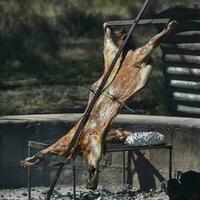 Lamb on the spit, cooked with the traditional Argentine method, La Pampa province, Patagonia, Argentina. photo