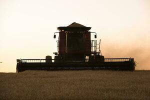 Harvester machine, harvesting in the Argentine countryside, Buenos Aires province, Argentina. photo