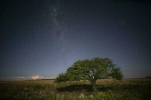 pampa paisaje fotografiado a noche con un estrellado cielo, la pampa provincia, Patagonia , argentina. foto