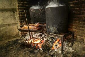 Pig ribbs barbecue , Patagonia, Argentina photo