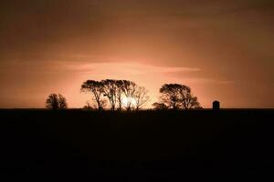 Rural sunset landscape, Buenos Aires province , Argentina photo