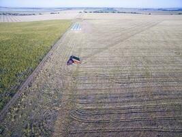 Tractor and seeder, direct sowing in the pampa, Argentina photo