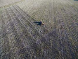 tractor y sembradora, directo siembra en el pampa, argentina foto