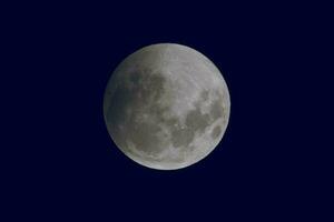 Blood moon, eclipse seen from, La Pampa,January 21, 2019   Argentina photo