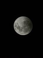 sangre luna, eclipse visto de, la pampa,enero 21, 2019 argentina foto