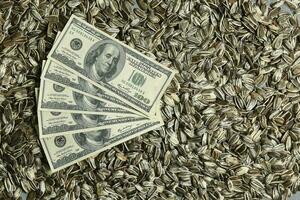 Dollars banknotes and sunflower seeds, oleaginous Commodity value concept. photo