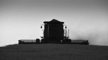 Harvester machine, harvesting in the Argentine countryside, Buenos Aires province, Argentina. photo