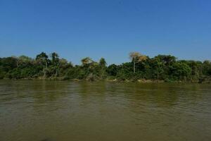 río paisaje y selva,pantanal, Brasil foto