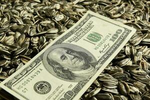 Dollars banknotes and sunflower seeds, oleaginous Commodity value concept. photo