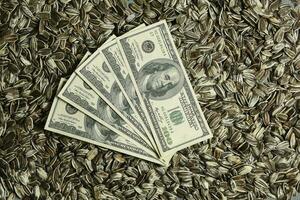 Dollars banknotes and sunflower seeds, oleaginous Commodity value concept. photo