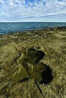 Coastal landscape with cliffs in Peninsula Valdes, World Heritage Site, Patagonia Argentina photo