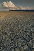 roto seco suelo en un pampa laguna, la pampa provincia, Patagonia, argentina. foto