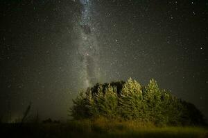 pampa paisaje fotografiado a noche con un estrellado cielo, la pampa provincia, Patagonia , argentina. foto