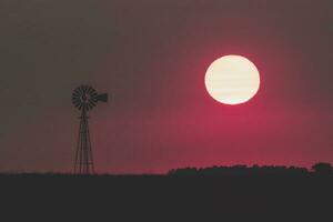 Windmill in countryside at sunset, Pampas, Patagonia,Argentina. photo