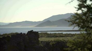 luminosa luce del sole riflessione su il lago superficie video