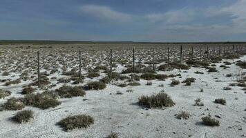 Salty soil in a semi desert environment, La Pampa province, Patagonia, Argentina. photo