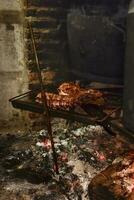 Pig ribbs barbecue , Patagonia, Argentina photo