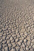 Cracked earth, desertification process,abstract background photo