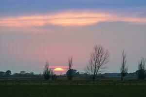 Windmill in pampas sunset landscape, La pampa, Argentina photo