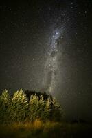 Pampas landscape photographed at night with a starry sky, La Pampa province, Patagonia , Argentina. photo