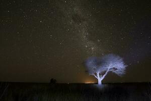 pampa paisaje fotografiado a noche con un estrellado cielo, la pampa provincia, Patagonia , argentina. foto