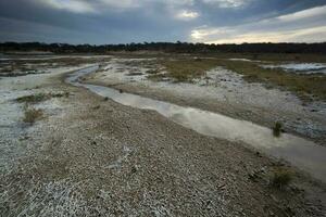 Saltpeter on the floor of a lagoon in a semi desert environment, La Pampa province, Patagonia, Argentina. photo