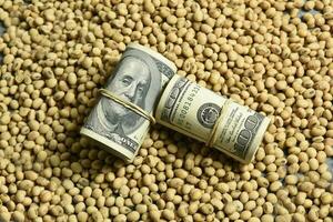 Dollars banknotes and coins and soy beans,oleaginous commoditi value concept. photo