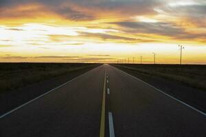 Route in the Pampas plain, Patagonia, Argentina photo