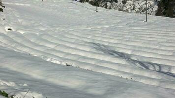 Snow on Green Tea Field and Traditional Village House video