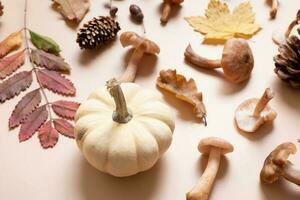 Pumpkin, mushrooms and autumn leaves on beige background. Autumn still life photo