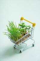 Germinated microgreen in shopping cart on green background vertical format. photo