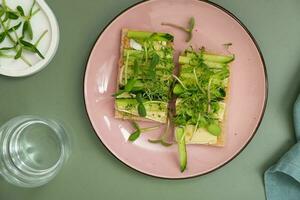 Sandwich with cheese, cucumbers and sunflower microgreens and alfalfa photo