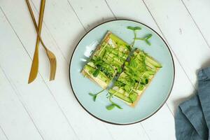 Sandwich with cheese, cucumbers and sunflower microgreens and alfalfa photo