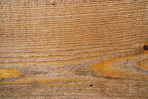 Brown wood texture. Abstract wood texture background. photo