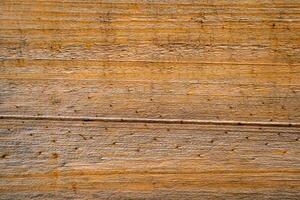 Brown wood texture. Abstract wood texture background. photo