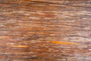 Brown wood texture. Abstract wood texture background. photo