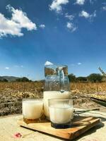 Sip the essence of Mexico with pulque, a divine maguey drink photo