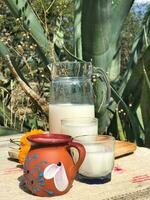 Experience the authentic taste of Mexico with pulque, a traditional maguey drink, served in beautiful dishware photo