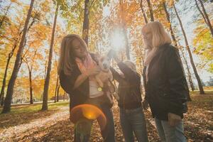 Mother and grandmother and daughter holds jack russell terrier and plays with it in autumn outside. Pet and family concept photo