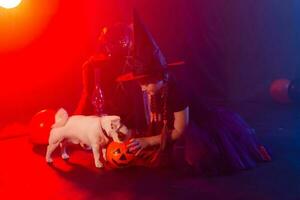 Funny girl child kid in halloween costume witch playing with spooky jack pumpkins fog and jack russell terrier dog photo