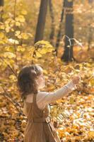 Little kid girl in autumn park. Lifestyle, fall season and children concept. photo