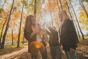 Grandmother and mother with granddaughter having fun with dog in autumn season. Generation, leisure and family concept photo