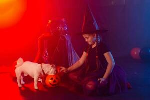 Funny girl child kid in halloween costume witch playing with spooky jack pumpkins fog and jack russell terrier dog photo