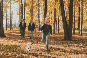 Grandmother and mother with granddaughter walks together in autumn park and having fun. Generation, leisure and family concept. photo